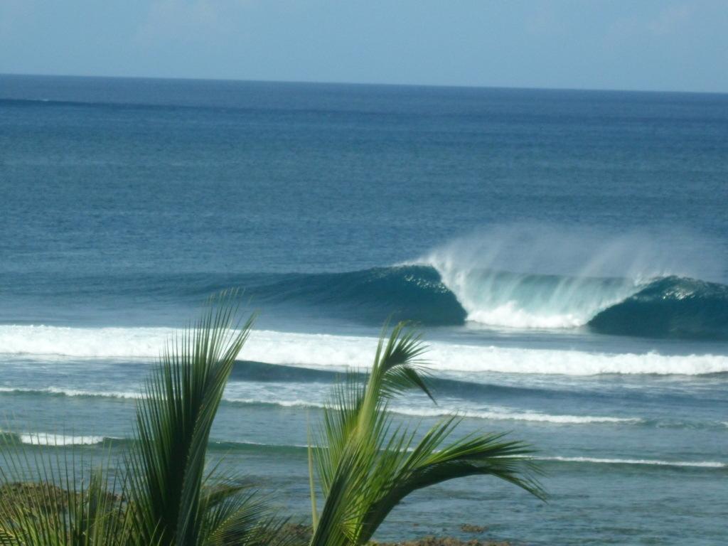 Ocean 101 Beach Resort General Luna  Luaran gambar